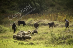 Bauern 2014 - PERU5503