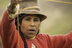 Grasbrücke 2014 - PERU6793