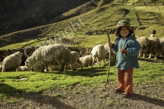 Grasbrücke 2014 - PERU7438