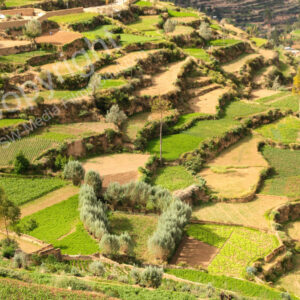 Anden, Peru, Lima, Terrassen,