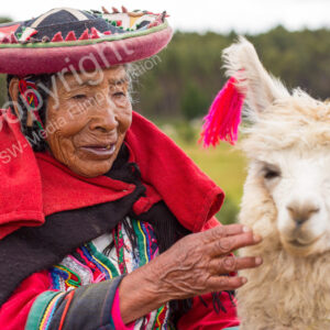 Anden, Peru, Lima, Cusco, Llama,