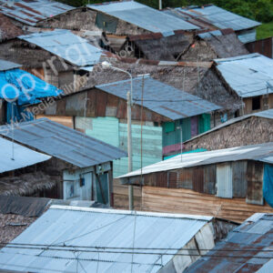 Iquitos, Peru, Südamerikanischer Regenwald