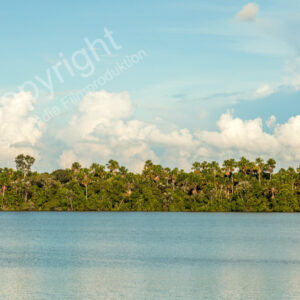 Iquitos