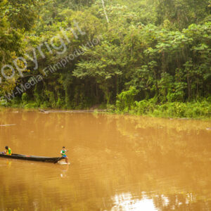 Iquitos, Amazonas, Peu, Regenwald Südamerika